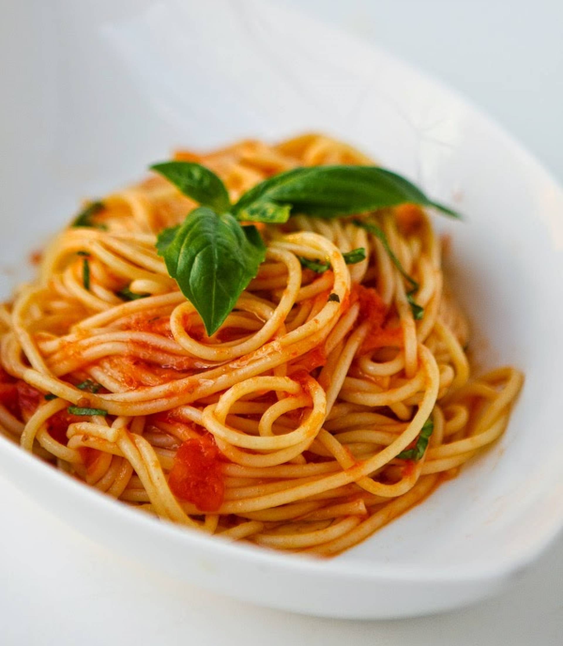 Protein Spaghetti