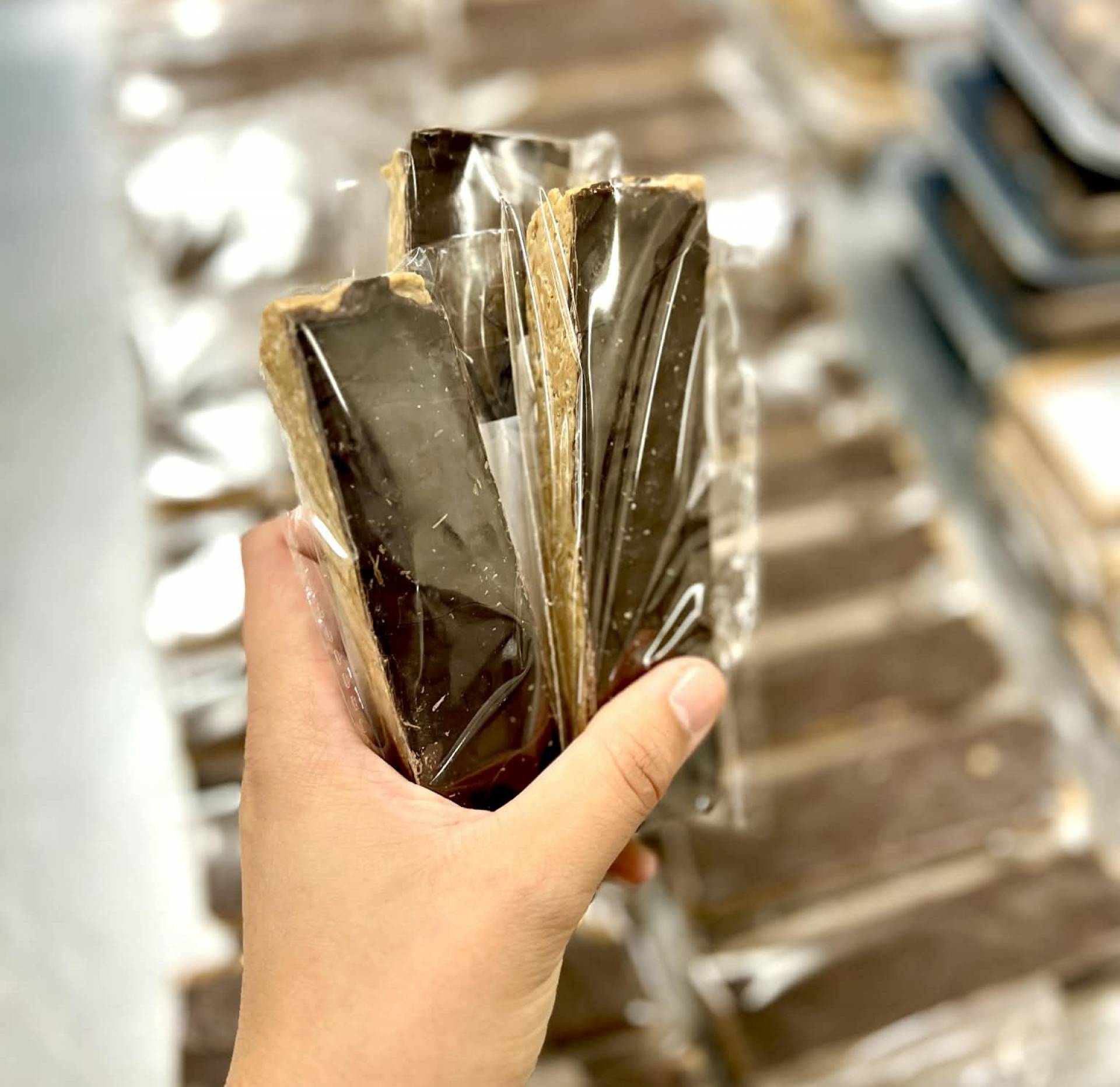 Chocolate Peanut Butter Crunch Protein Bars