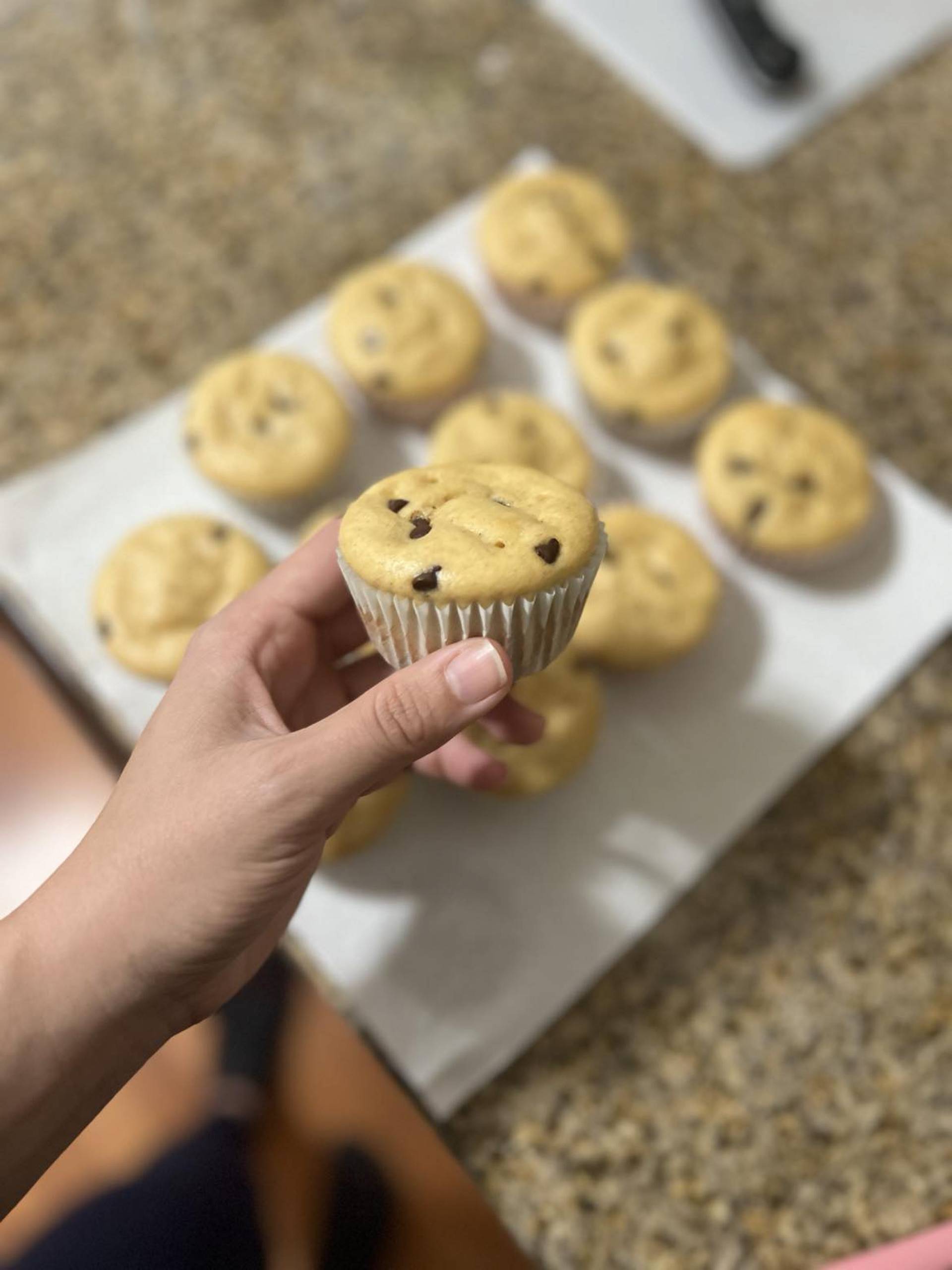 Chocolate Chip Protein Muffins